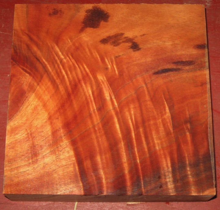 Curly koa $25 + $9 shipping
7-1/4" x 7-1/4", planed to 2" thickness.
Good color and compression curl. Air dried since 2010.
face #1 - board #193-2209 Curly koa $25 + $9 shipping
7-1/4" x 7-1/4", planed to 2" thickness.
Good color and compression curl. Air dried since 2010.
face #1 - board #193-2209