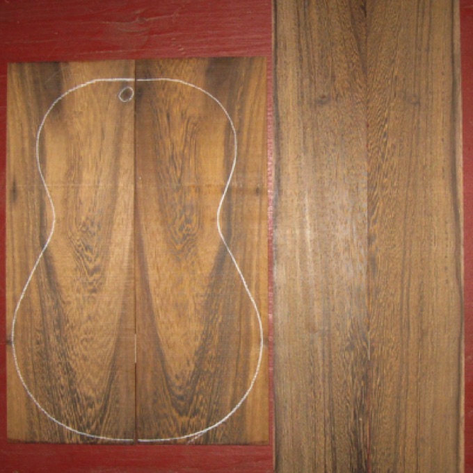 Pheasantwood Soprano Ukulele AAA $45
(2) back plates 3-1/2" x 10-1/4"
(2) side plates 2-1/2" x 15"
Air dried 25+ years, tight old-growth with figured backs and straight grain sides.
set #159-1792 Pheasantwood Soprano Ukulele AAA $45
(2) back plates 3-1/2" x 10-1/4"
(2) side plates 2-1/2" x 15"
Air dried 25+ years, tight old-growth with figured backs and straight grain sides.
set #159-1792