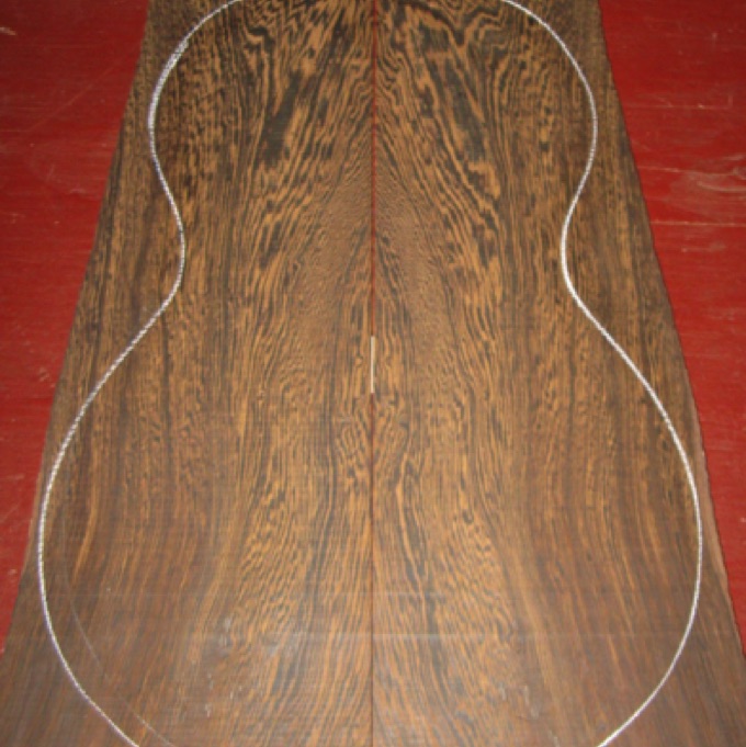 closeup
set #154-1794
Tight knot along the edge of the sides; this will be trimmed when you cut side profiles. closeup
set #154-1794
Tight knot along the edge of the sides; this will be trimmed when you cut side profiles.